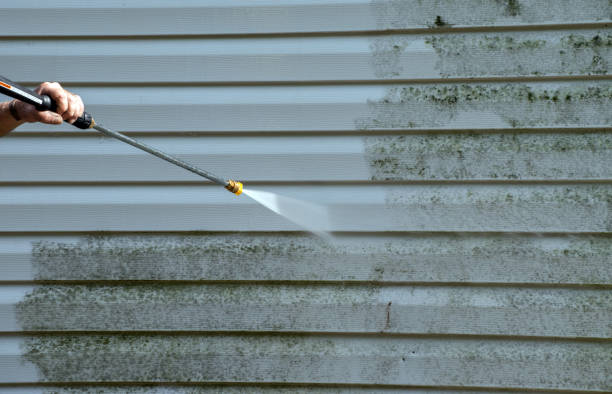 Mold Removal and Inspection in Hayfork, CA