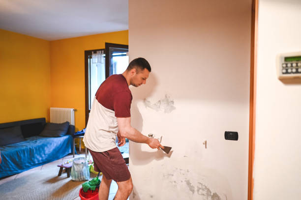 Hayfork, CA Mold Removal Company